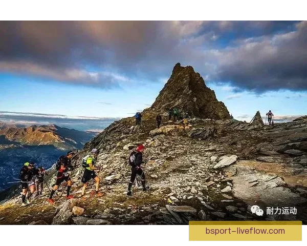 B体育平台引领数字体育革命创新助力体育行业跨越式发展