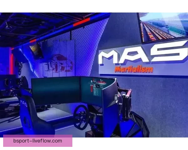 B体育体验全面评测：功能实用性和观赛体验深度解析